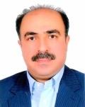 محمود شهشهانی پور